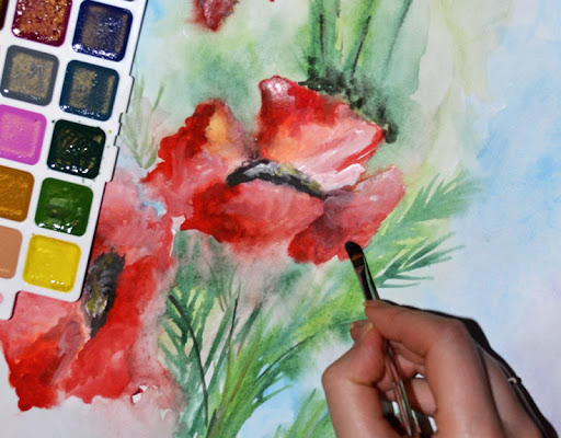 Poppies. Flower watercolor