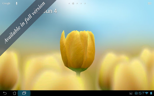 3D Tulip Live Wallpaper Free(圖3)-速報App