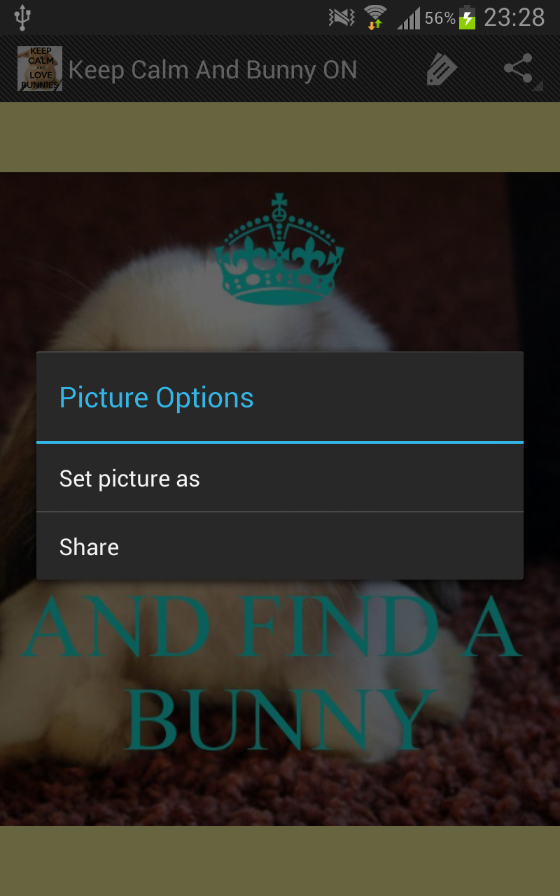 Keep Calm And Bunny ON Screen 3