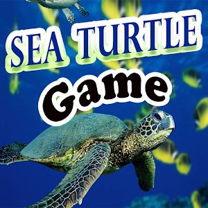 Sea Turtle Game 1.0
