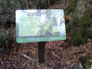 Link to Ancient Times Sign 