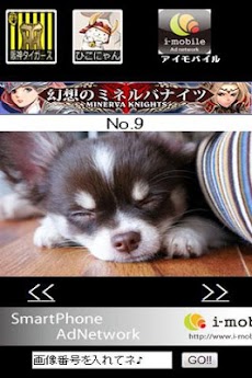 可愛い犬の壁紙画像 Androidアプリ Applion