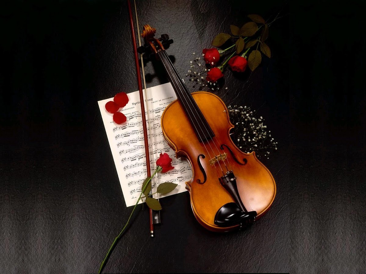 Violin Wallpaper - Android Apps on Google Play