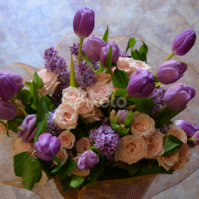 Lavender  by Rita Uriel - Flowers Flower Arangements