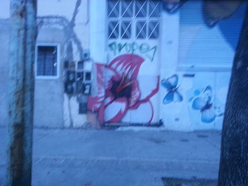 Graffitti Flor En La Pared