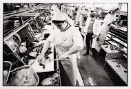 Zeevishandel Bertus Dekker