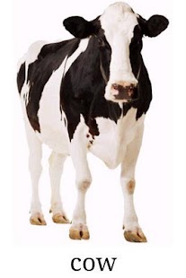 How to download Old Domesticated Animals 1.1.1 mod apk for bluestacks