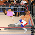 Wrestling Revolution1.930