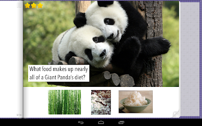 Animal Trivia poster 2