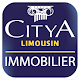 City Limousin APK