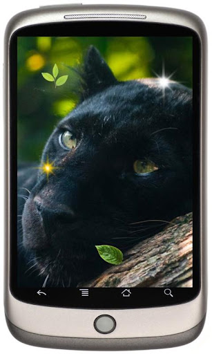Panther Real live wallpaper