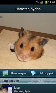 Lastest Rodents APK for Android