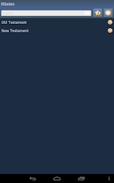 Norwegian Holy Bible poster 6