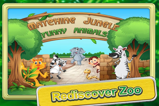 Matching Jungle Funny Animals