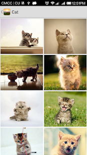 Wallpapers Screenshots 13