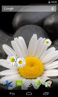 How to mod Daisy Live Wallpaper 1.0 mod apk for pc