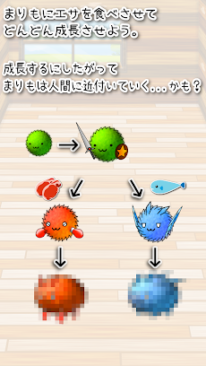 まりもダンジョン Androidアプリ Applion