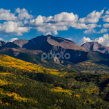 Sangre de Cristo Aspens I by Jeremy Elliott -  