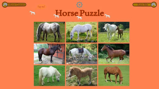 【免費解謎App】Horse Puzzle For Kids-APP點子