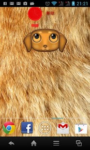 Free Download Zoo Live Wallpaper - Dog APK for PC