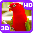 Cute Red Parrot on Next Branch mobile app icon