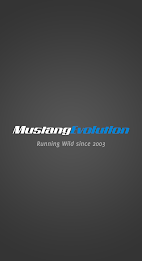 Mustang Evolution poster 1