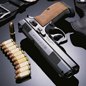 Pistol puzzle icon