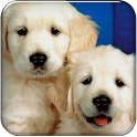 Puppy Go launcher theme logo