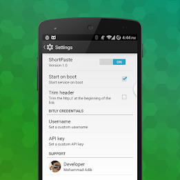 Short paste - car fits urls poster 7