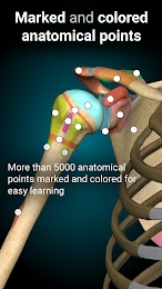 Anatomy Learning - 3D Anatomy 2