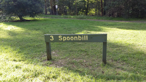 3 Spoonbill Flat