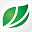 FIBRIA IR Download on Windows