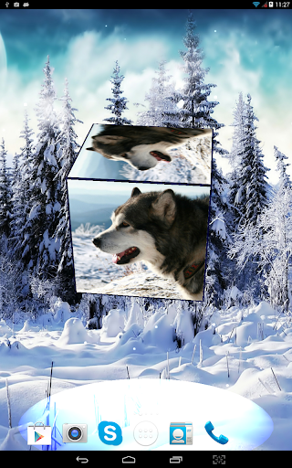 【免費個人化App】Husky 3D Live Wallpaper FREE-APP點子