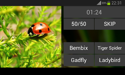 Guess the insect poster 7