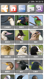 香港鳥類(圖2)-速報App