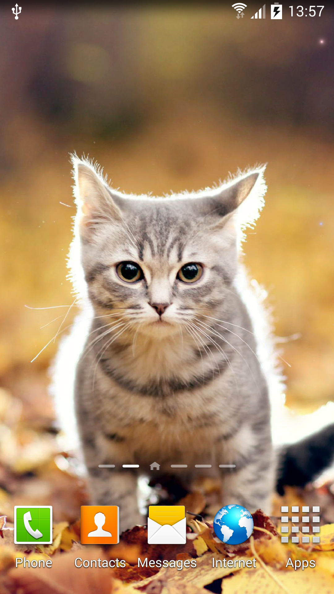Android application Cat Live Wallpaper screenshort