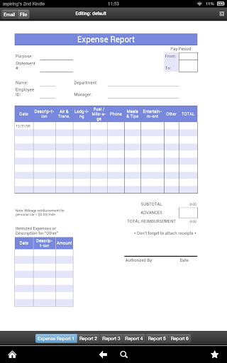 Travel Expense Report