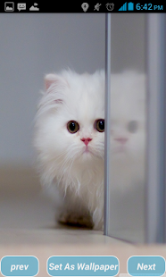 How to mod Cute HD Wallpapers patch 1.0 apk for pc
