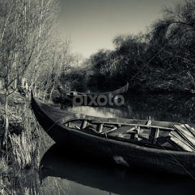 Stilness by Luís Perdigão - Black & White Objects & Still Life