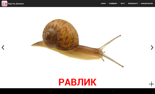 Картки Домана(圖5)-速報App