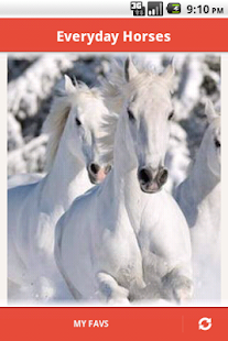 Free Poney & Horse APK for Android