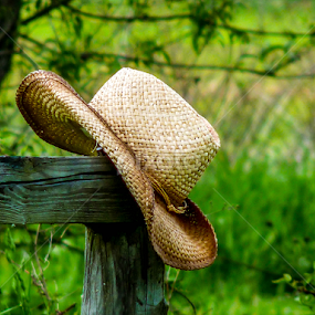 by Donna Nicklas - Uncategorized All Uncategorized
