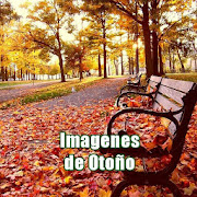 Imagenes de Oto  o