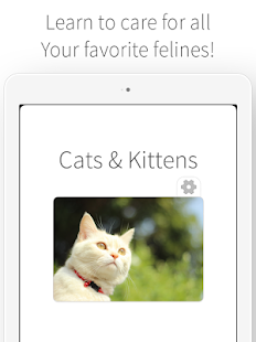 Cats & Kittens - Cat Care Screenshots 0