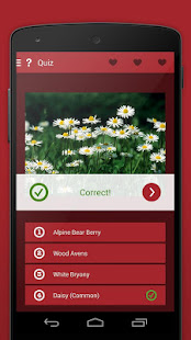 Wild Berries and Herbs 2 LITE(圖8)-速報App