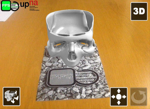 Skull 3D Anatomy AR