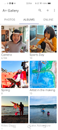 A+ Gallery - Photos & Videos 1