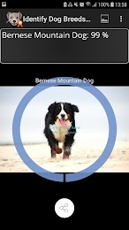 Identify Dog Breeds Pro 4