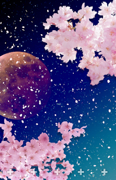 無料イラスト画像 驚くばかり夜桜 桜 イラスト かっこいい
