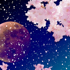 [10000ダウンロード済み√] 壁紙 夜桜 381274-フリー 壁紙 夜桜